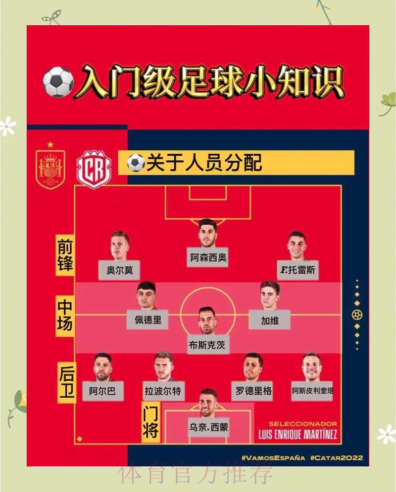 探索世界杯买球官网热门趋势与安全投注技巧